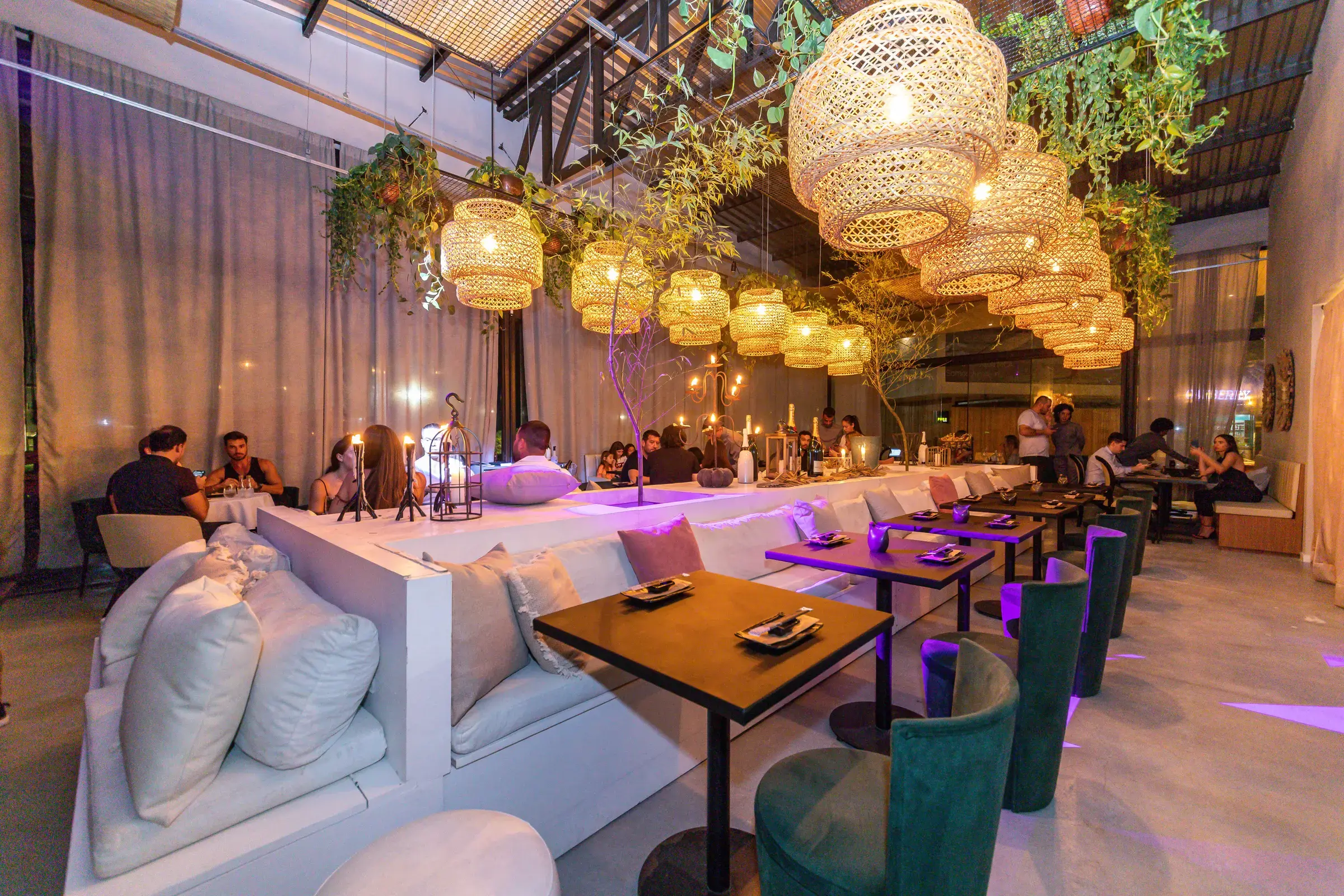 Ambiente Noma Sushi — Jurerê